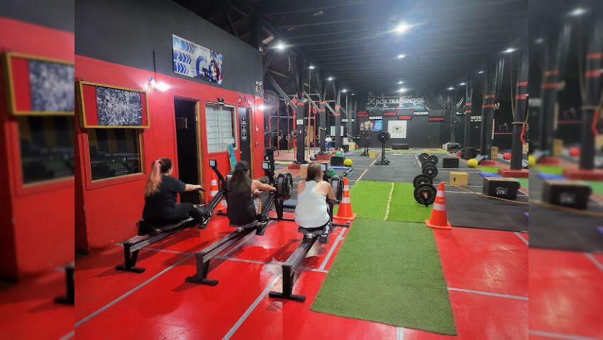 Box Training Cf