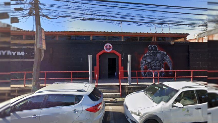 Bull Gym