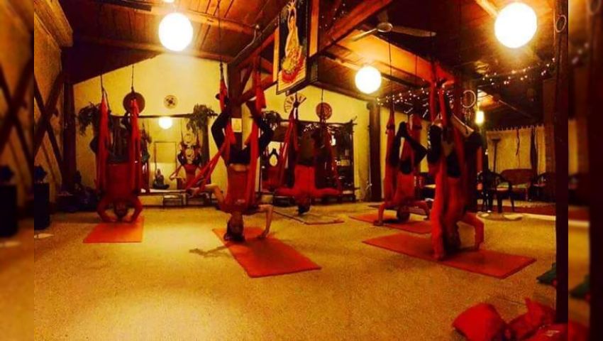 Centro De Yoga El Canelo
