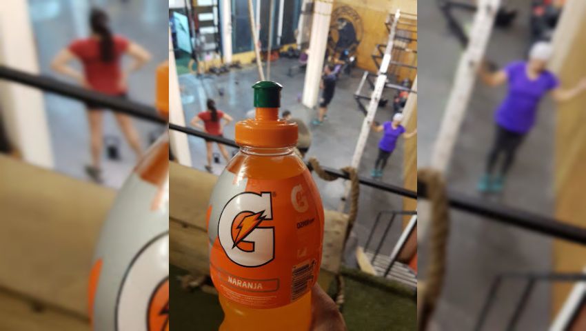 Crow Elite Fitness
