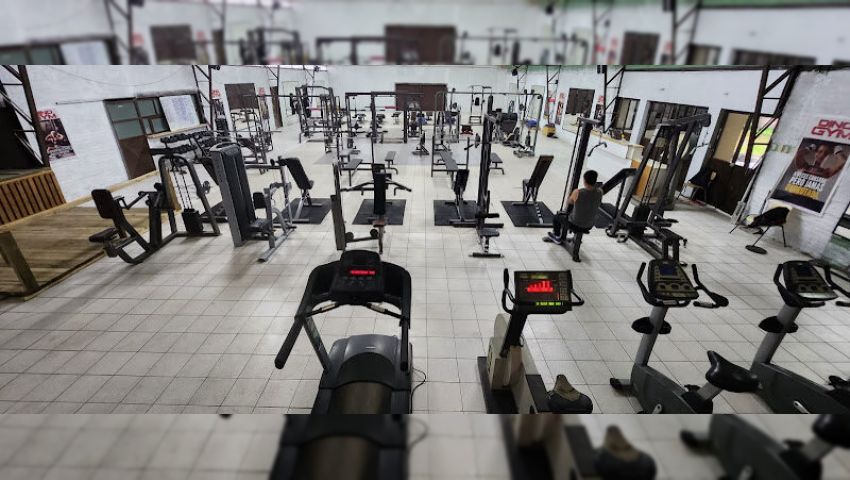 Dino Gym