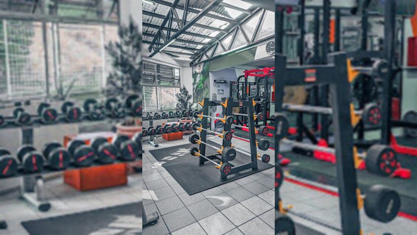 Entrenador Personal En Valparaíso Y Online - Fitmind Academy