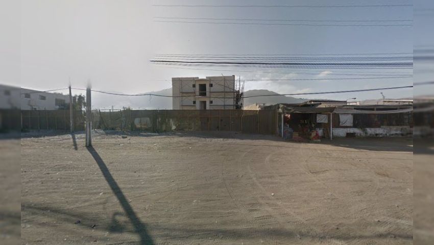 Evolution Gym