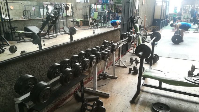 Gimnasio Fenix Spa 2636