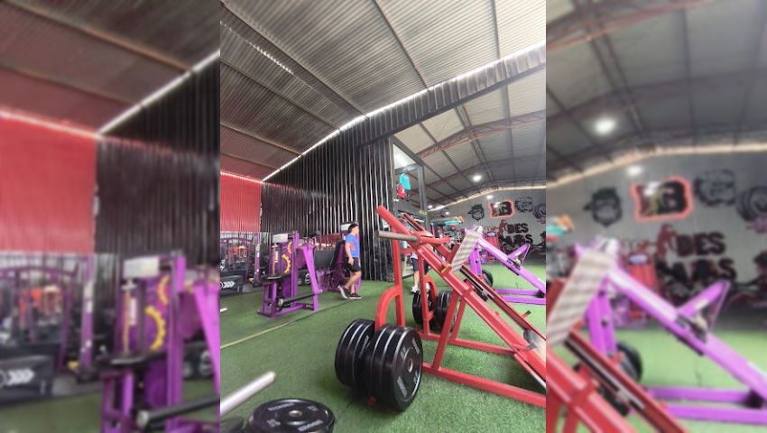 Gimnasio Iron Body
