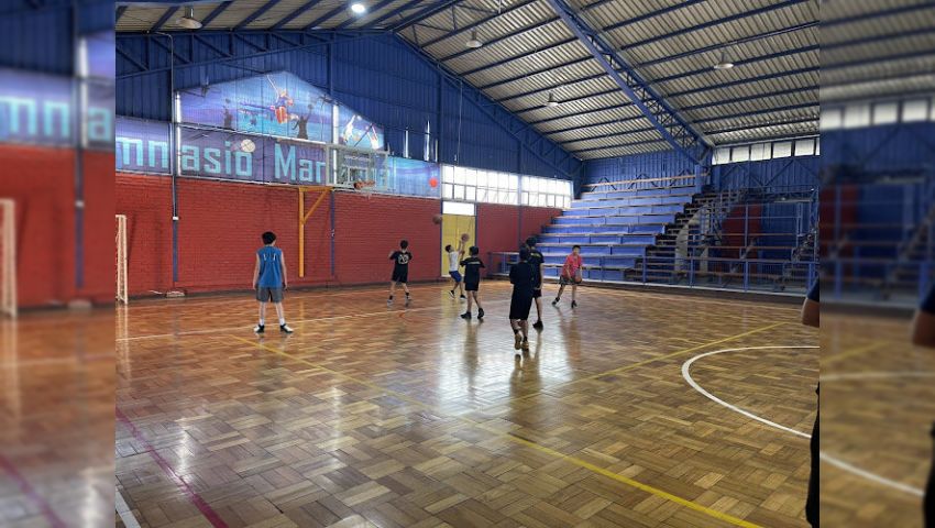 Gimnasio Manzanal