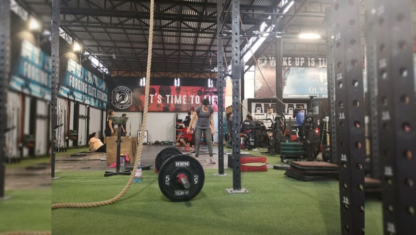 Gimnasio Olympus Box-Gym