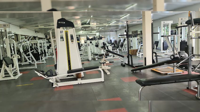 Gimnasio Palestra