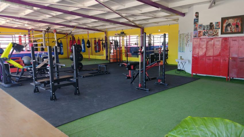 Ironclub Boxing Gym