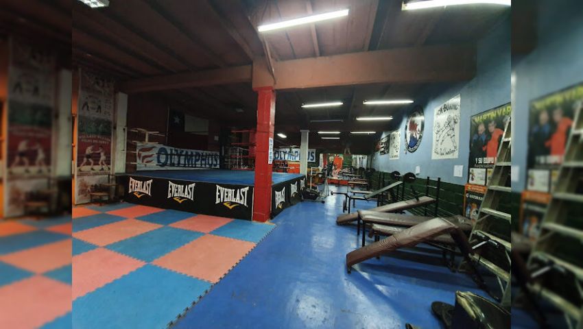 Kenp Boxing