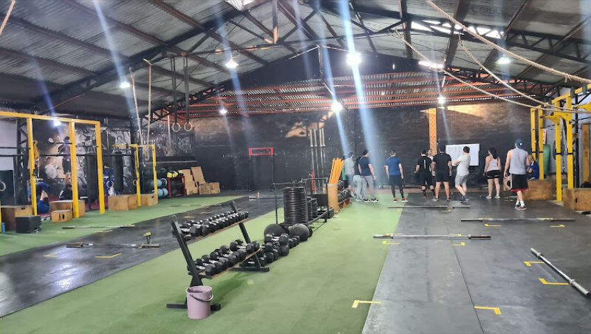 Ludus Centro
