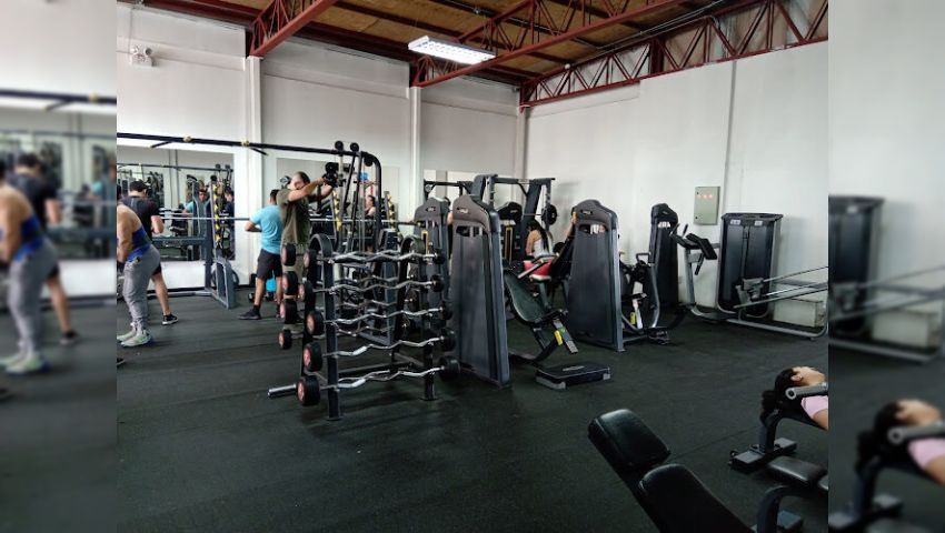 Lyh Fitness Gym