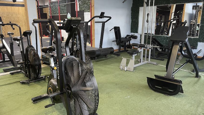 Maoribox Centro De Entrenamiento