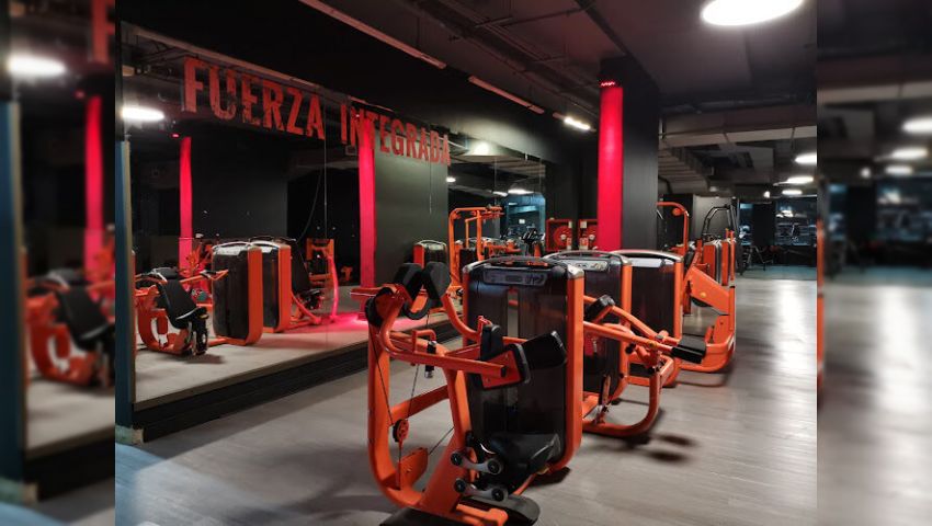 Mindfit Los Leones