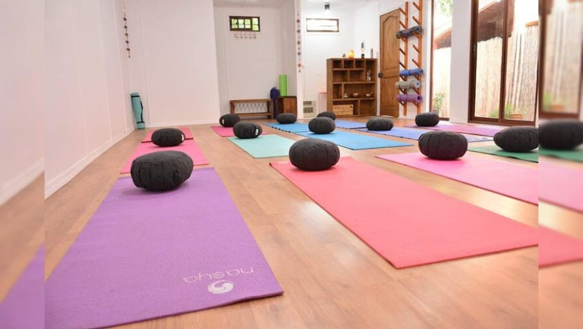Shaktipat, Escuela De Yoga, Meditación Y Autoconocimiento