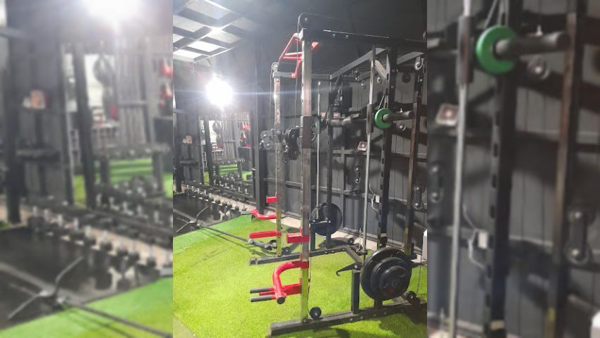 Shelogym Fitness Y Boxeo