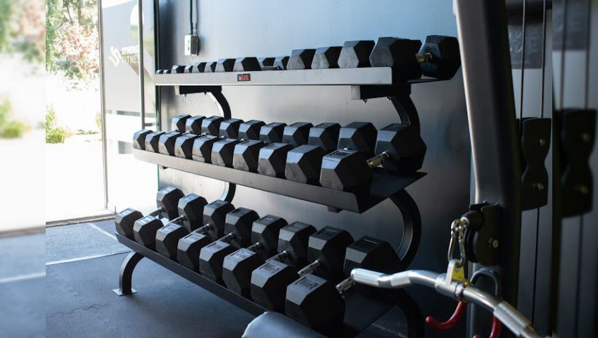 Synergia Fitness