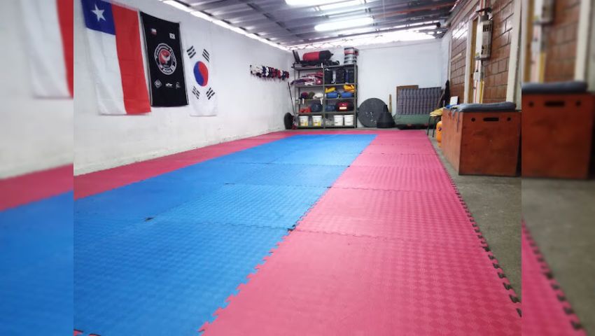 Taekwondo Punta Norte