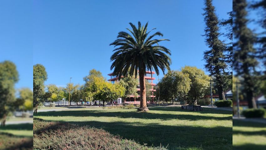 Universidad Del Bío-Bío