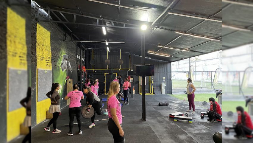 Venfit Gym